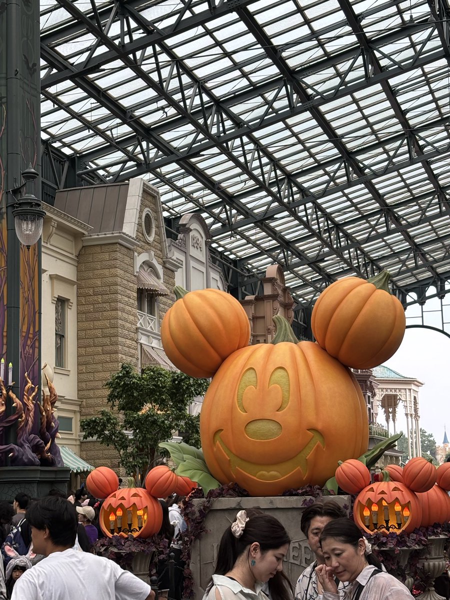 sizumisakuya's tweet photo. ディズニーランド✨ https://t.co/rX5AKnMojr