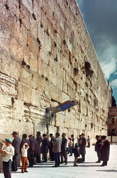 FormerlyTrucks's tweet photo. "You need to touch the wailing wall"

Me: https://t.co/WuucG9v2ZC