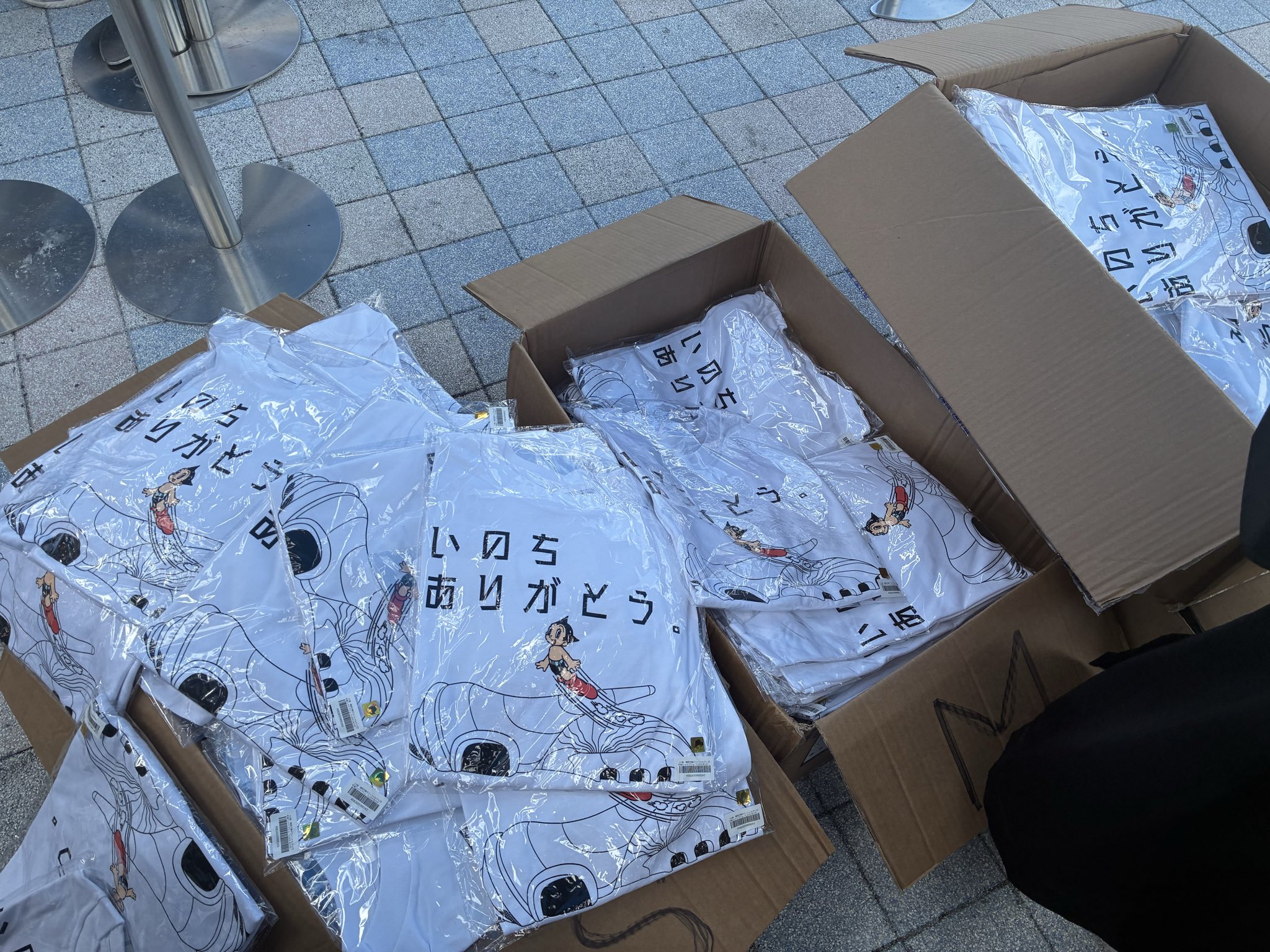 ⭐️ まめねこ ⭐️ 夏、好き。35℃超えるな。 #絵日記