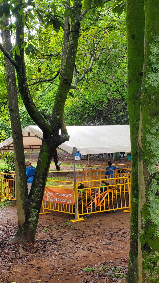 Amor infinito a los domingos y a la ciclovía recreativa. No me había fijado en estos parqueaderos para bici en el parque del ingenio ¡me encantan! para que las personas puedan asistir tranquilamente a las clases de aerobicos en la carpa de al lado.