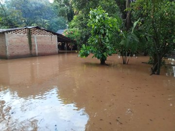 First image shows a brick house with a sloped roof partially surrounded by brown floodwater from the Tapacun River overflow, with trees and vegetation in the background and water covering the ground around the structure. Second image depicts a metal-roofed shelter with plants and a person standing nearby, inundated by muddy water up to knee level in the yard area. Third image features a wooden and metal building amid lush greenery and flowers, with floodwater reaching the base of the structure and surrounding trees. Fourth image illustrates a corrugated metal shed with open doors and a green plant nearby, submerged in brown water with debris bags visible on the side.