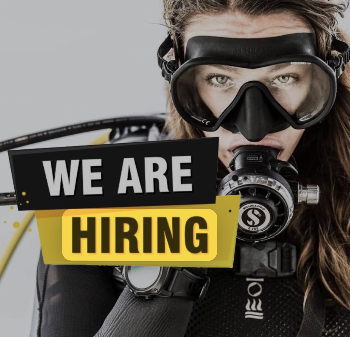 We’re looking for a few good men or women to work at our retail facility at LA’s top rated scuba shop. email your interest at ecodivecenter1@gmail.com