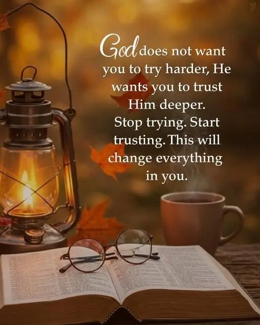 SimiyuJoshua2's tweet image. 