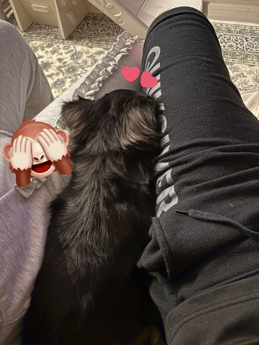 EmmmmmmmAINU's tweet photo. 🐶ひさびさの、ぬくもり

#とある日のエマ坊
#オット単身赴任
#はさまり〜犬
#ねんね犬
#ズボぉ https://t.co/yv73CfzlFb