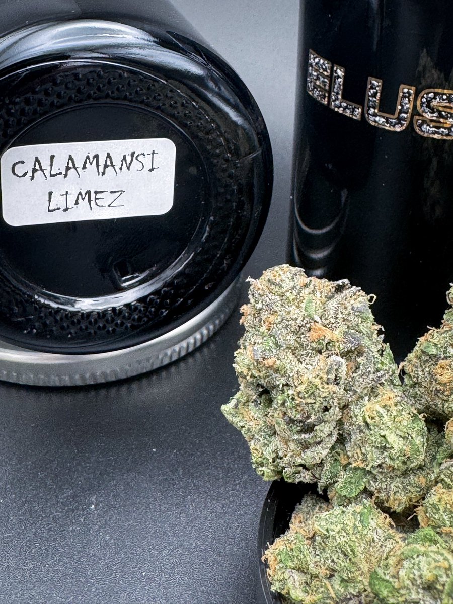 FoggedUpGlass_'s tweet photo. Extremely impressed with this lineup from @elusive_la 

It’s hard to find a grower with a roster of strains/flavors where everything is liked by an individual but I’ve been genuinely happy with all the cultivars I got to try this round

If you’re looking for something new to try 👀 

To name a few that stuck out to me in no particular order..

 Red Hotz,  Calamansi Limez, and Blood Orange

@obf415 @obf415 @obf415