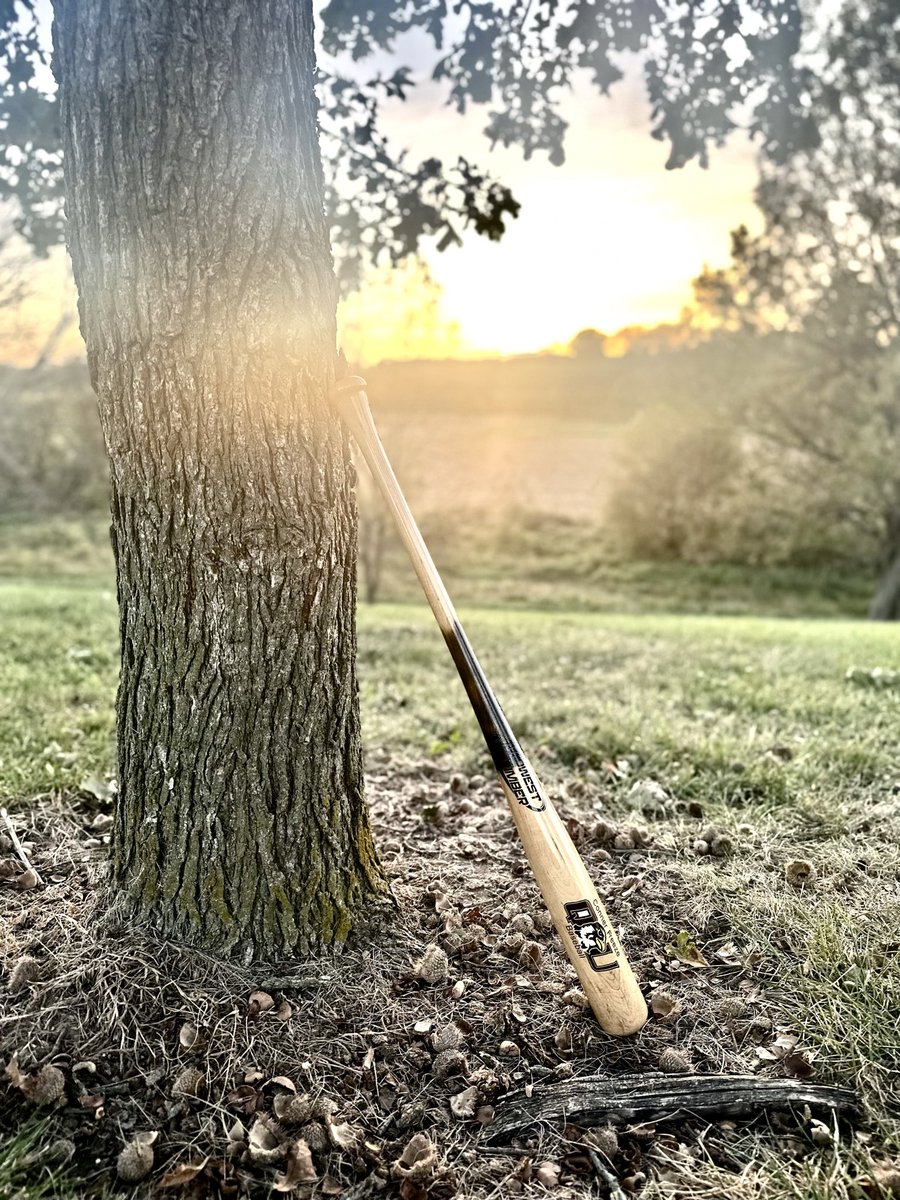Pine tar look. Only at midwesttimberbatco.com