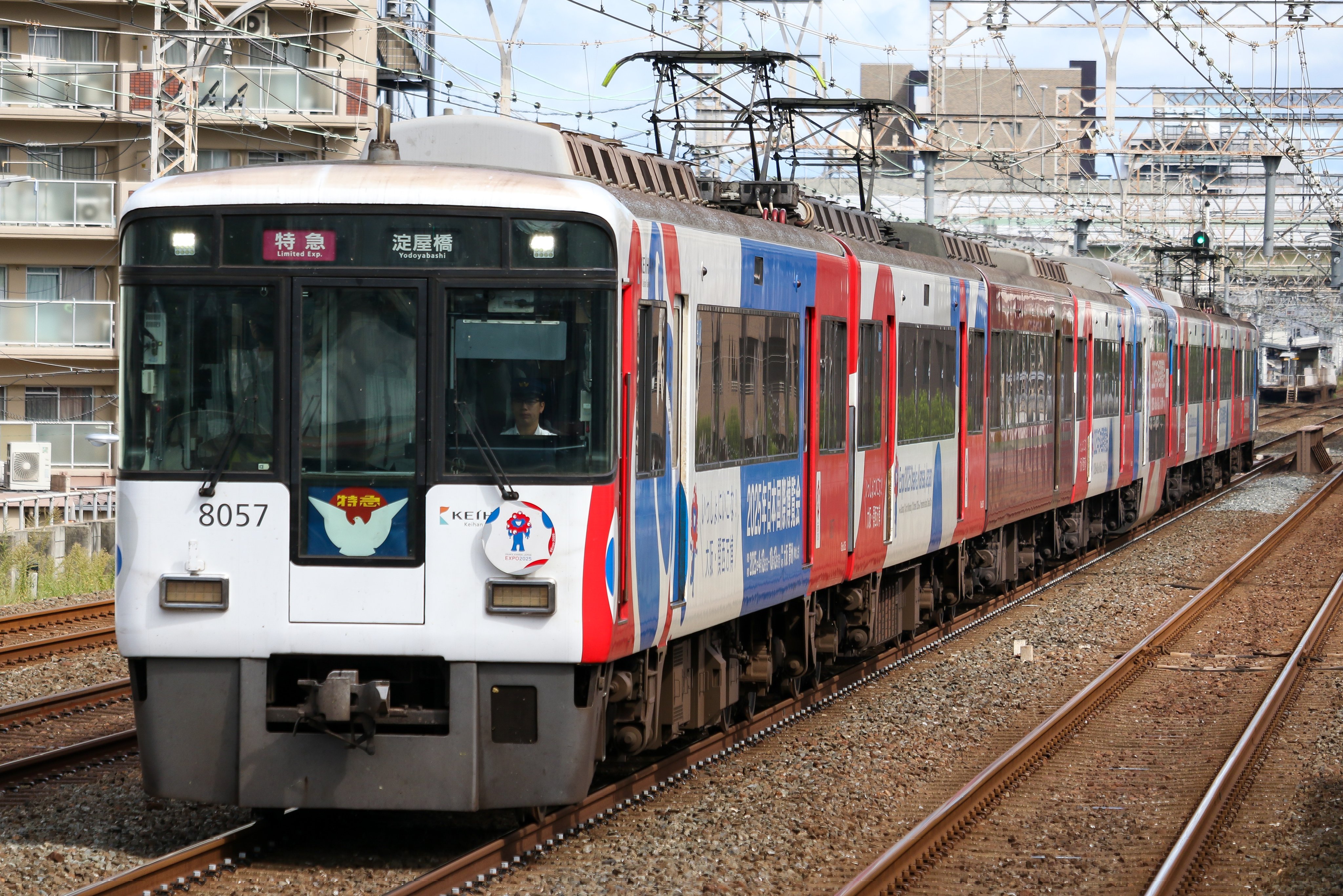 d-_-d (@dd_9306) / X