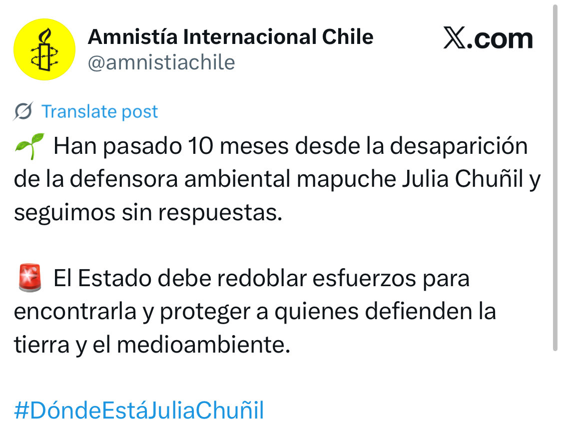 Y con estas ONG que intoxican el debate.

“Defensora ambiental mapuche”.

La señora, que en paz descanse, criaba gallinas y chanchos.