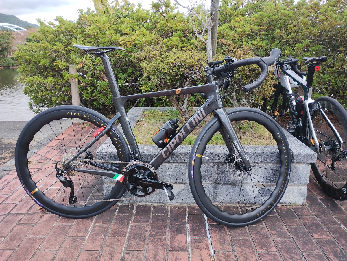 早い者勝ち！　コミフォラ　エイル　未発根　手乗りサイズ Tamaki Kasuya on X: 