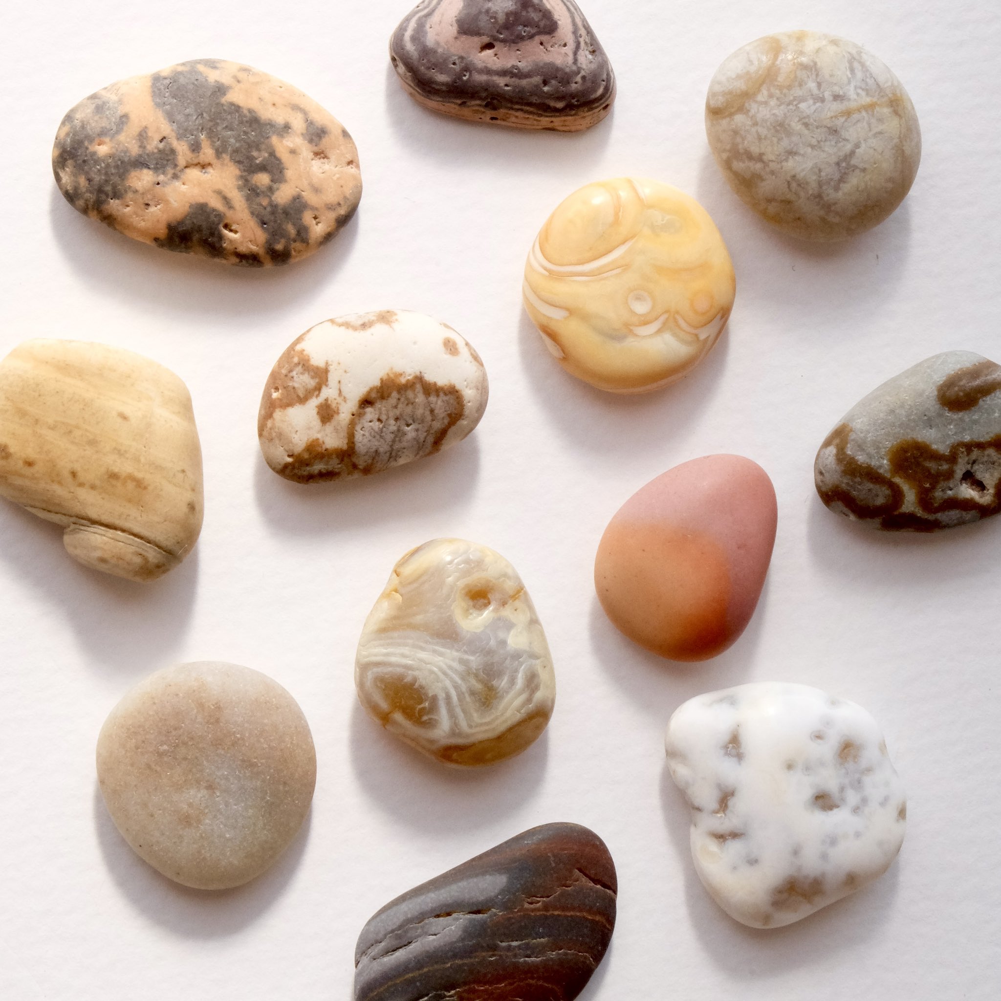 石ころ - 検索 / X