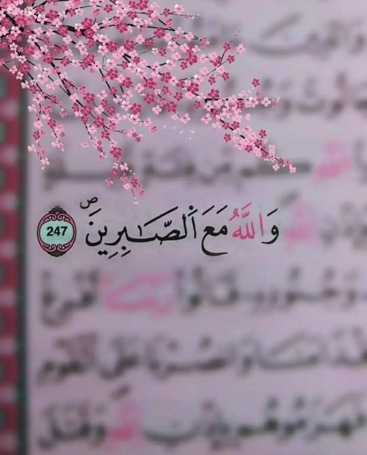 سكليف
معتمد فى صحتى
سكليف صحتى
🍂wa.me/+966581368219🍂
✨✨سكليف معتمد 🪁😌