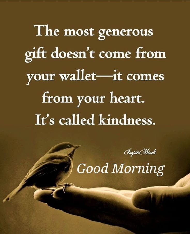 Good morning Monday ☕️