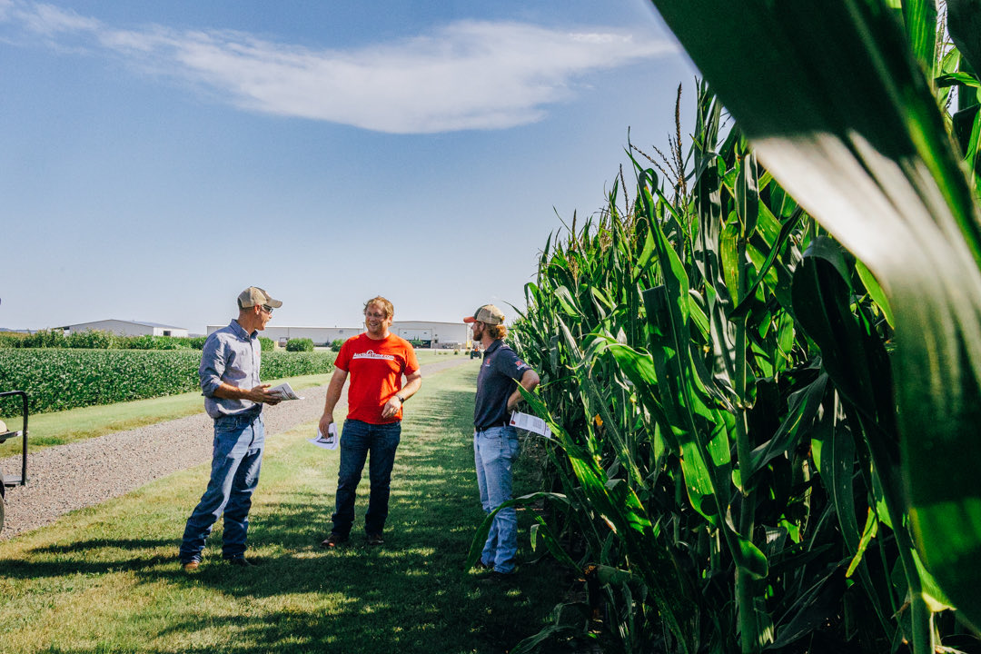 TAPSNetwork tweet media