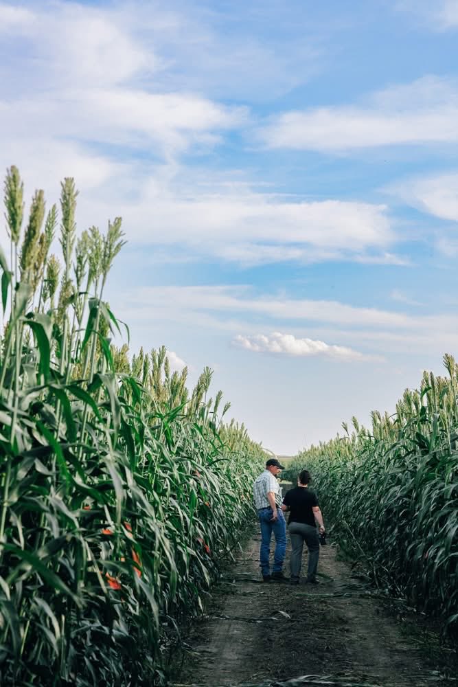 TAPSNetwork tweet media