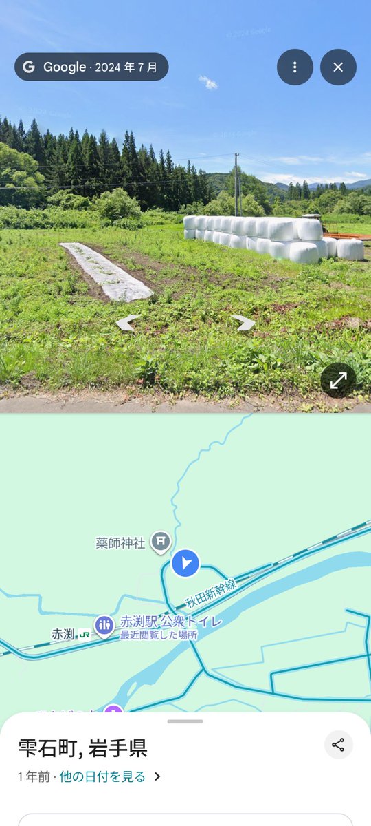 熊がいた！ 新幹線で移動中！ デカすぎる！！とんでもない戦闘力を