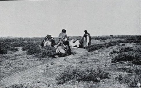R3ad_ii's tweet image. هجر الفايز ، قفطان الفايز من بني صخر

بعدسة المستشرق التشيكي لويس موزيل 1884-1911 🇨🇿
