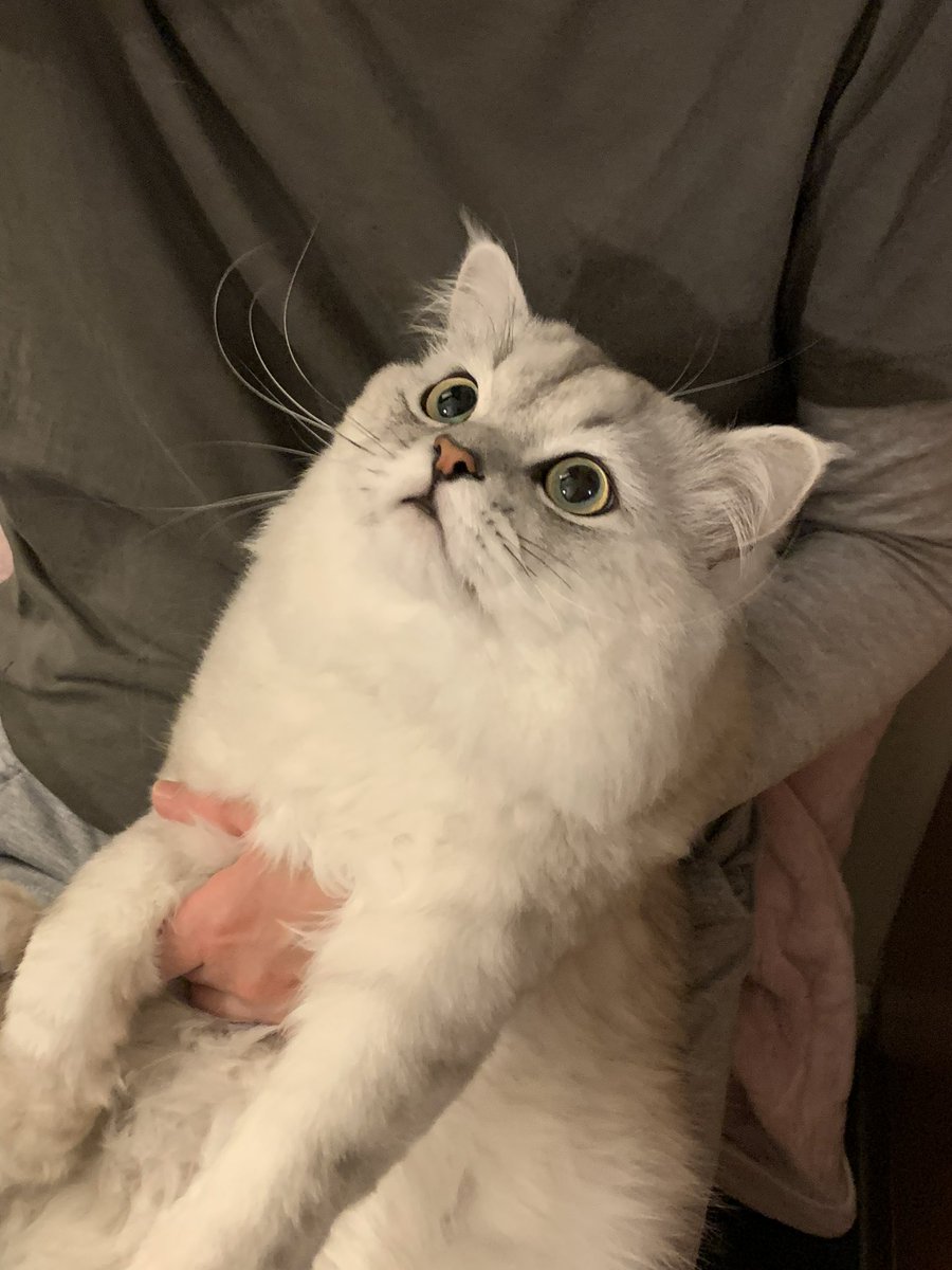 You are ours sweethear❤️, love you forever!