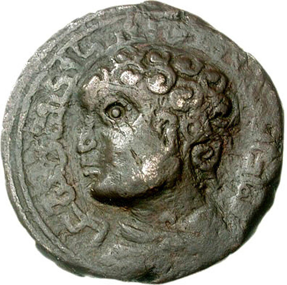 Muzaffereddin Gökböri, Eyyubilerin Türk generalidir. Selahaddin Eyyubi'nin önde gelen generallerindendir. Kendisi, Selahaddin'in Suriye'yi almasında çok önemli rol almıştır. Daha sonrasında Haçlı güçlerine karşı da birçok savaşta, Kudüs’ün fethinde ve Üçüncü Haçlı Seferi’nde