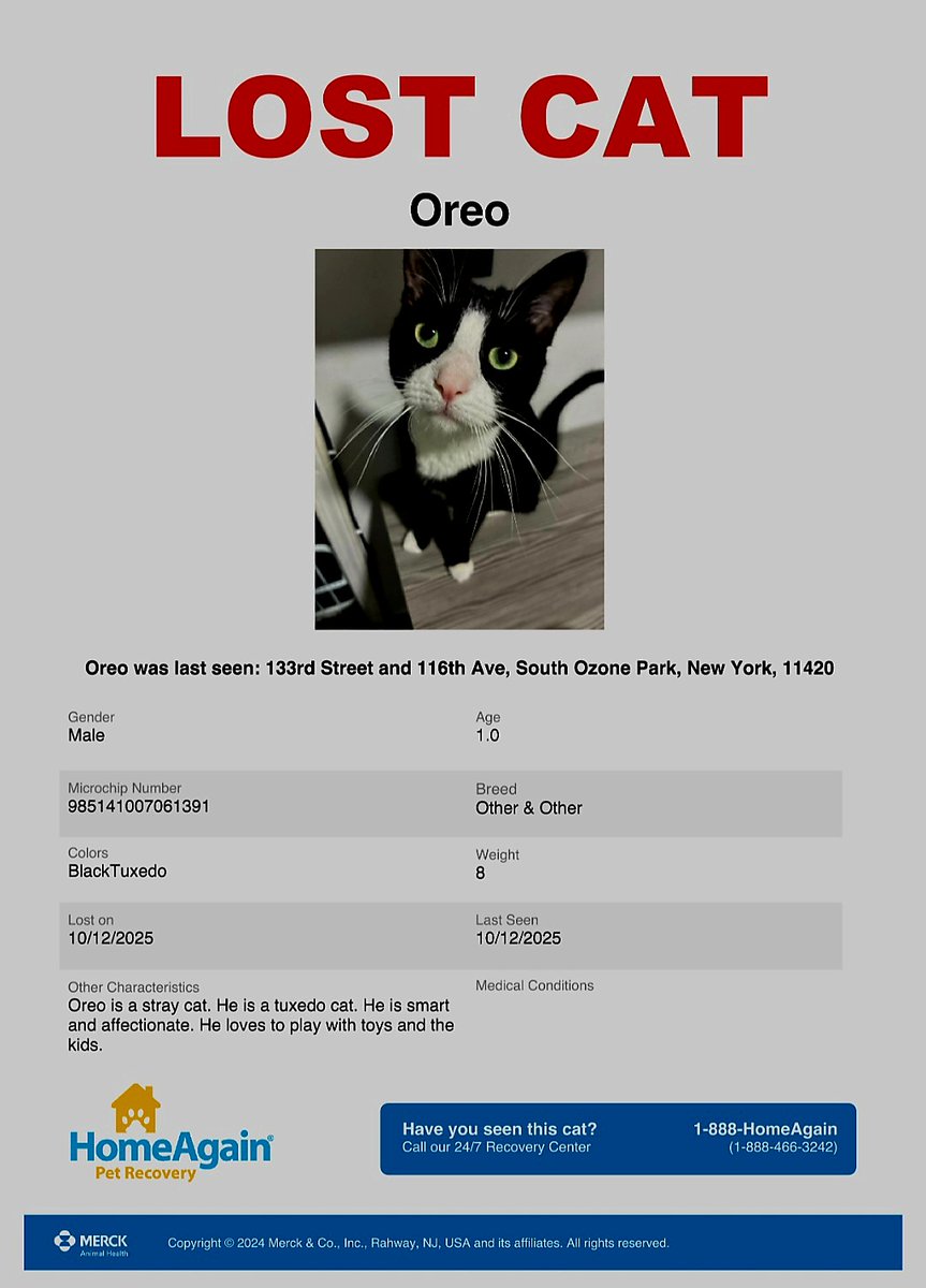 🌻Samson Cat🐱 (@meowmiya88) on Twitter photo 📢🇺🇲🗽🆘️🚨⏳😿💔Please RT to find Oreo #NYC #missingcat #lostcat #Queens #CatsOfTwitter #CatsOfX <a href="/HAPetRescuer/">HomeAgain PetRescuer</a> 📢🇺🇲🗽🆘️🚨⏳😿💔Please RT to find Oreo #NYC #missingcat #lostcat #Queens #CatsOfTwitter #CatsOfX <a href="/HAPetRescuer/">HomeAgain PetRescuer</a>