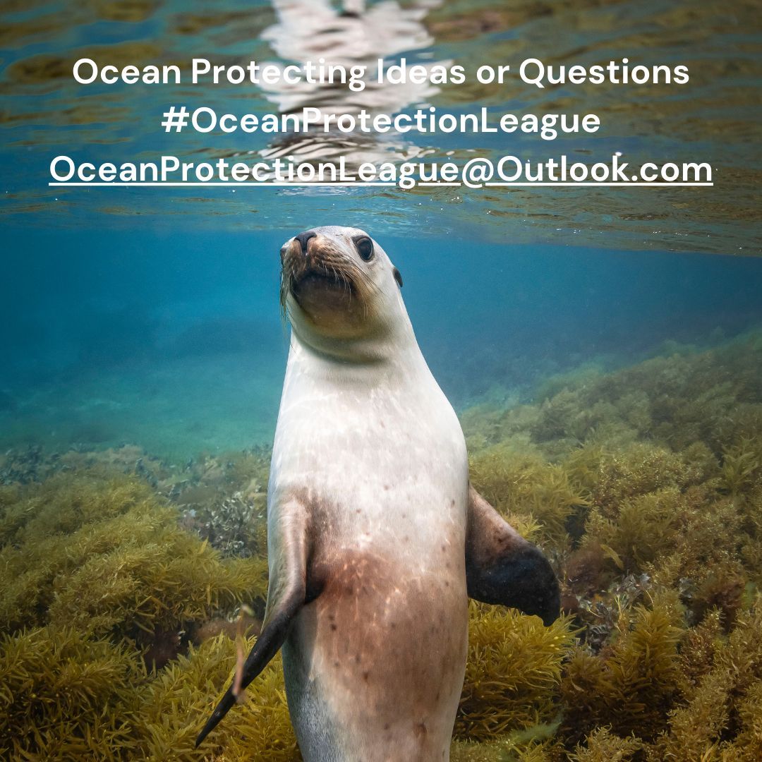 OceanProtectionLeague tweet media