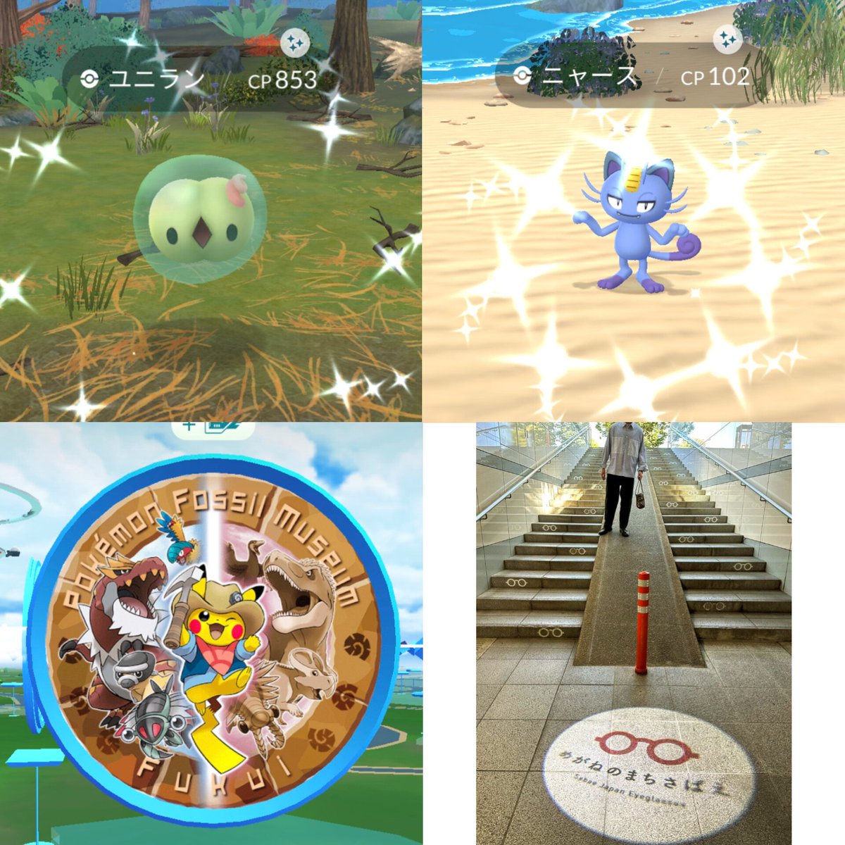 chirooo2024's tweet photo. 福井を満喫しました③👓️
#ポケモンGO #色違い https://t.co/lblyn38M3v
