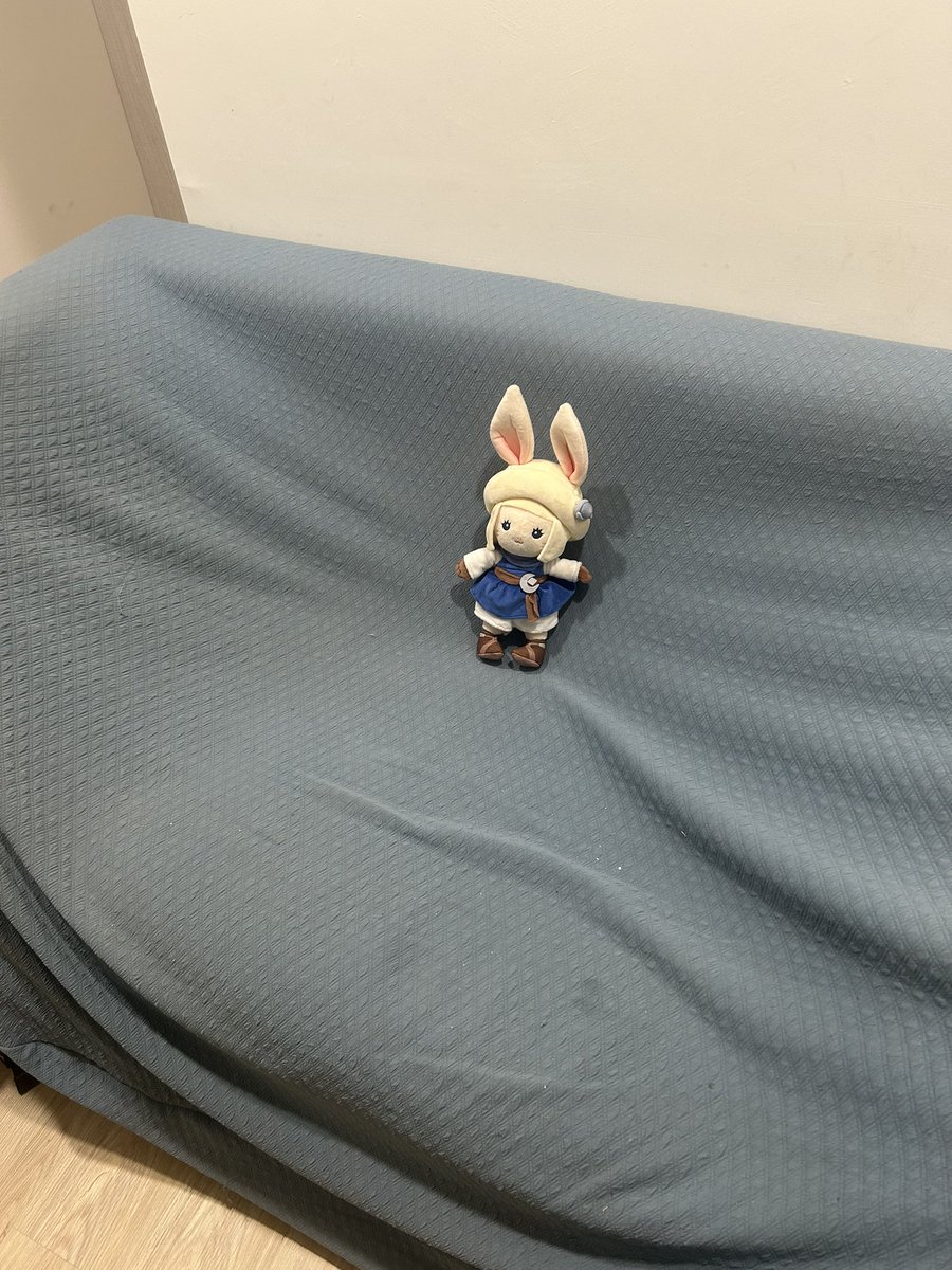 家の留守番サケウェイ