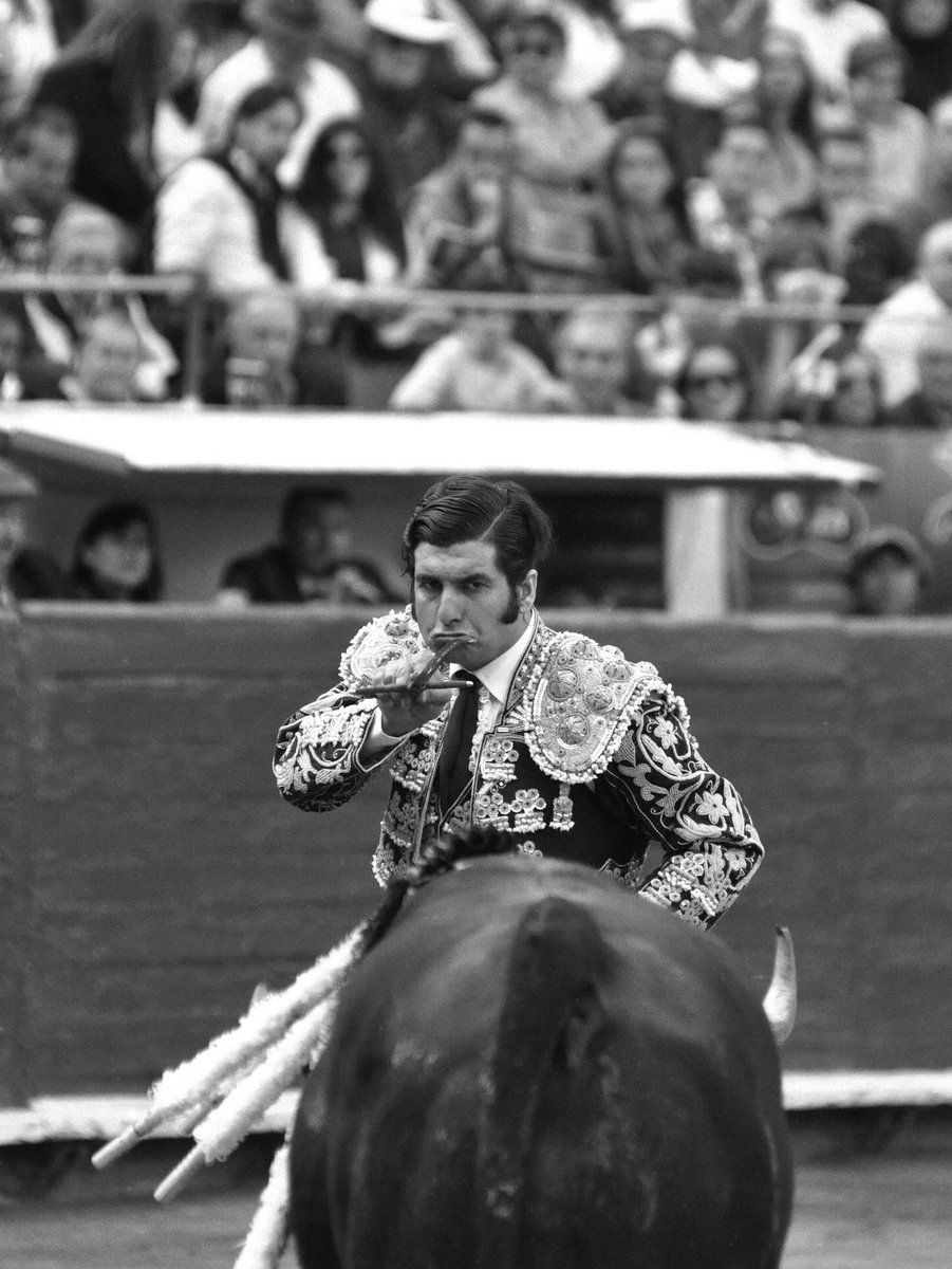 programataurino's tweet image. 💔
Morante, Morante, y ya.