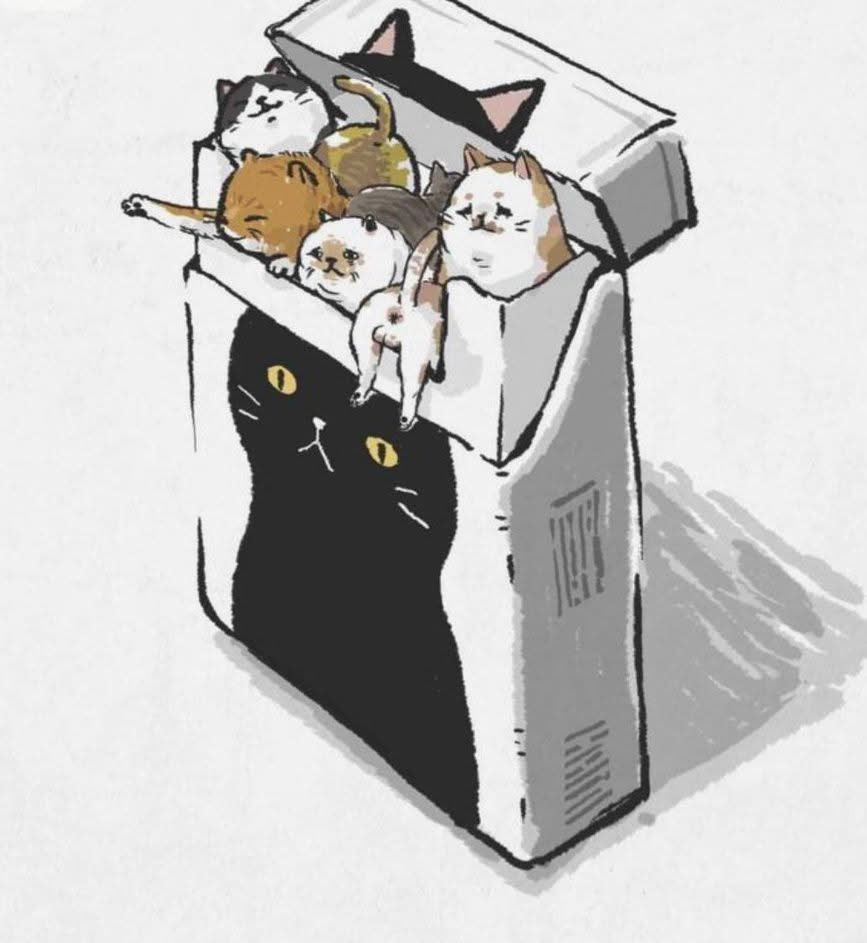 "Todos tenemos vicios"

Mis vicios: