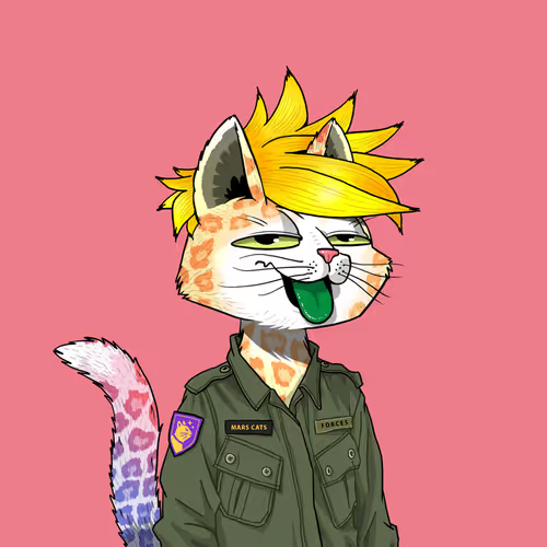 CryptoFuzzy's tweet image. Here&apos;s the Cat version of Guile from Street Fighter II 😎Hey @MarsCatsVoyage let&apos;s make a Cat Fighter II game, that would definitely be a hit 😻