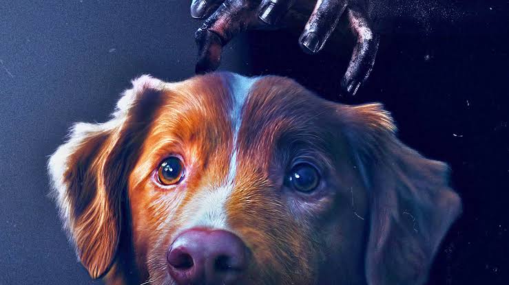 GOOD BOY de Ben Leonberg, amb una premisa molt atractiva, compleix amb les expectatives però ens deixa amb ganes de més 🍿. Les idees de la trama no acaben de ser explotades, però l'actuació estelar del gos protagonista, Indy, es guanya el film sense dubte 🐕. 3,5/5. #Sitges2025