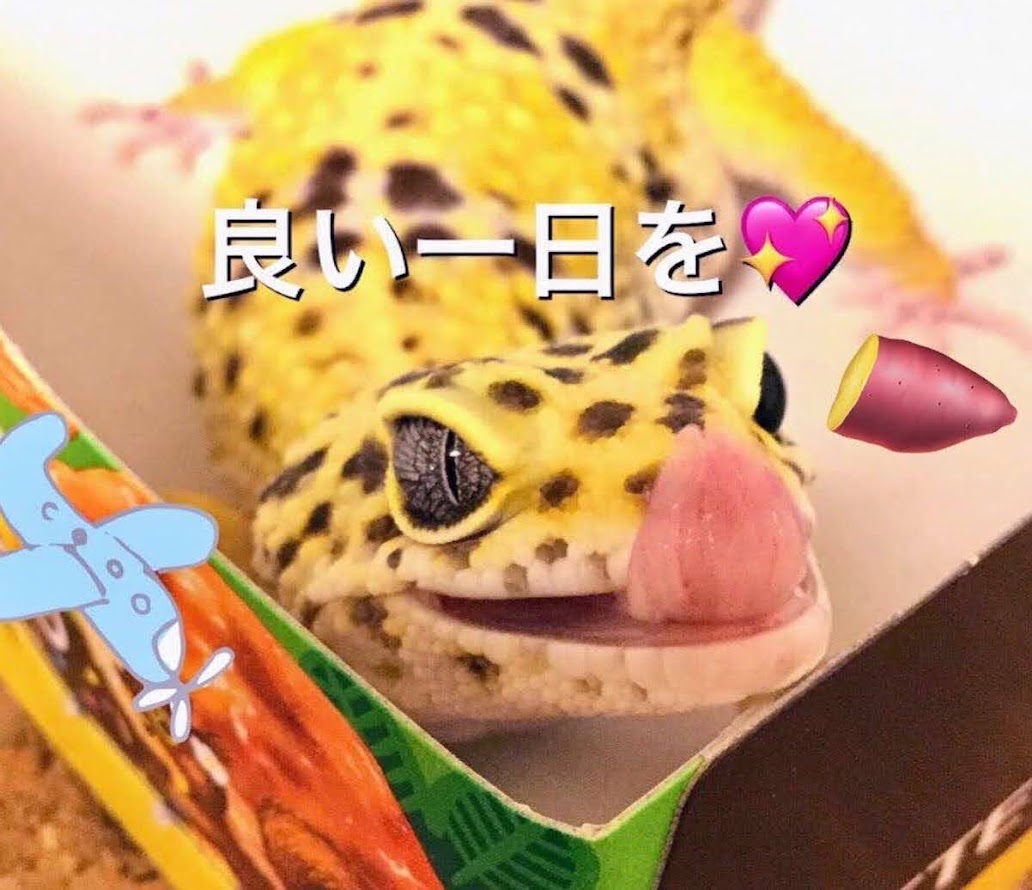 おはようございます😀 #けつようび 🍑
今週も元気に宜しくお願いします🍀
10月13日は？今が旬で江戸から産地の埼玉川越まで13里 #サツマイモの日 🍠
あと #豆の日 🫘からの #ピザまんの日 🍕
芋の収穫終わったら黒豆煮ながらピザまん食う日だな😆
ameblo.jp/toskalt8513/