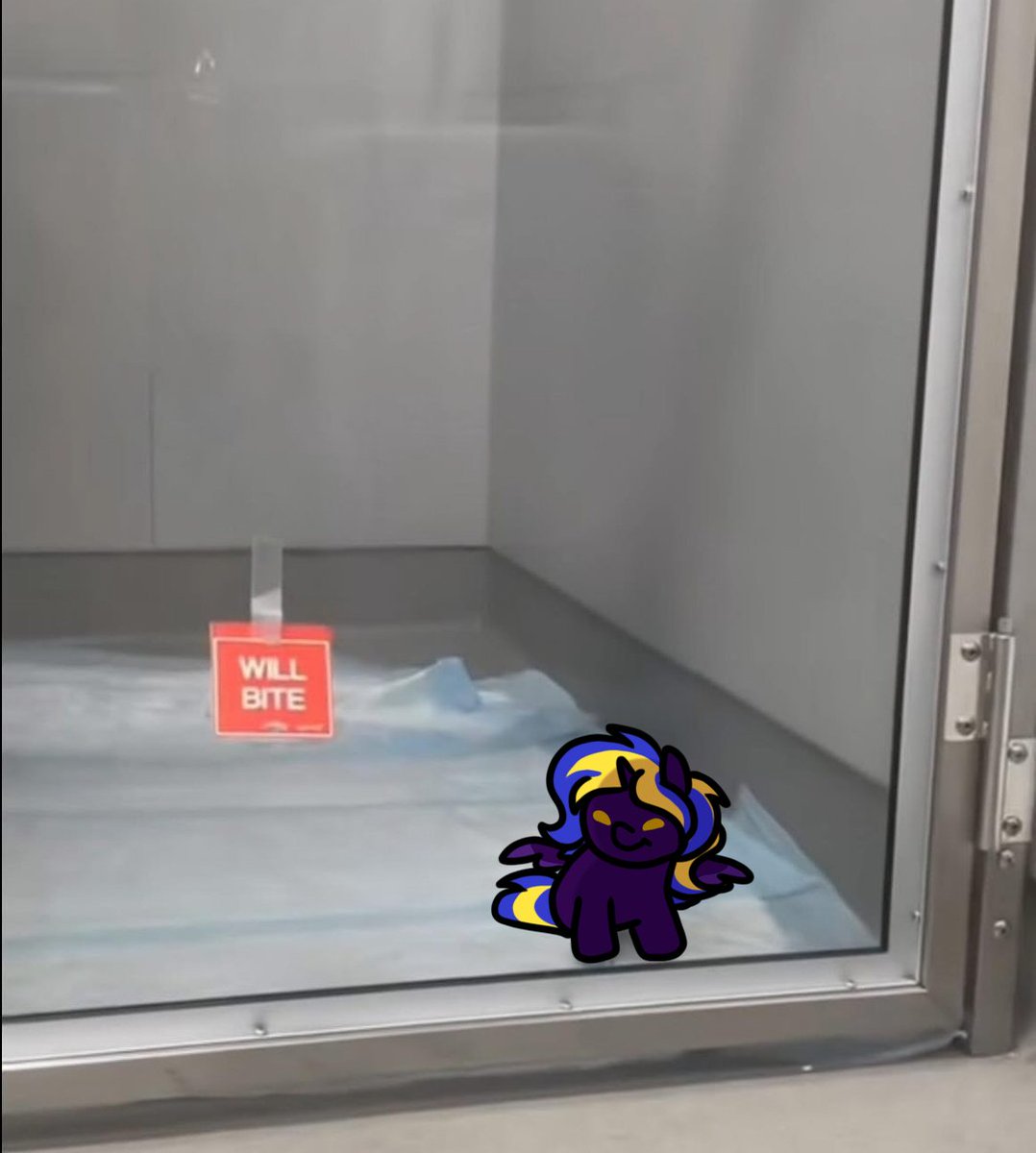 paperbagpony's tweet photo. They are too tiny for that Big amount of angyness ~ https://t.co/Xj18B7n8ui