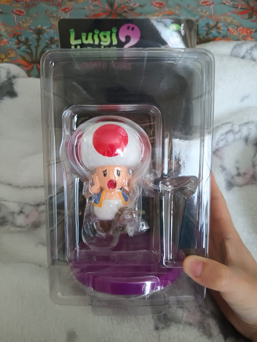 BrunAmitie's tweet image. bought another toad fig, this time one that&apos;s perfect for spooky month...✨