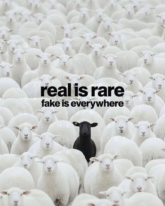 mindfulmaven_'s tweet photo. https://t.co/9xFDxxXI9h