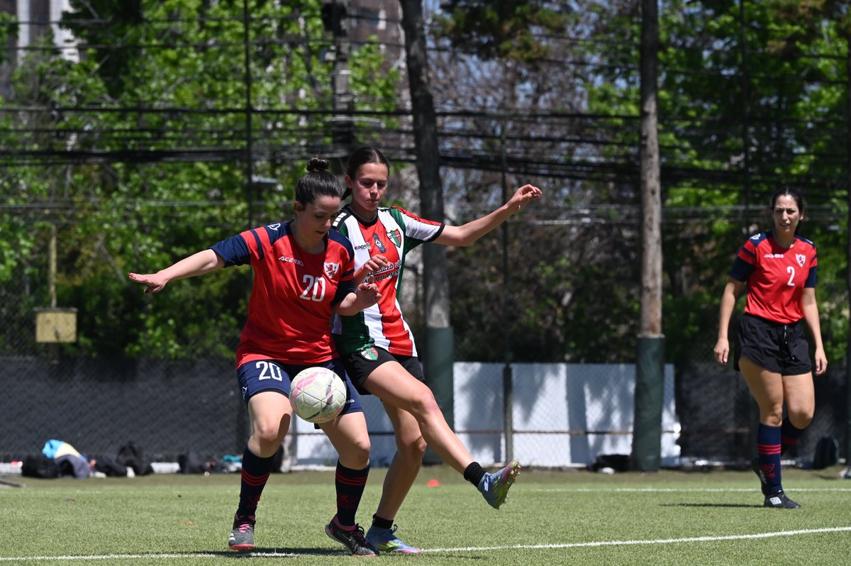 Dos partidos de exhibición animaron el Día de la Hispanidad 2025: Club Palestino vs. Estadio Español femenino, y las selecciones Doradas de la Rama de Fútbol. ⚽ Deporte y camaradería en una jornada inolvidable.
#EstadioEspañol #DíadelaHispanidad
