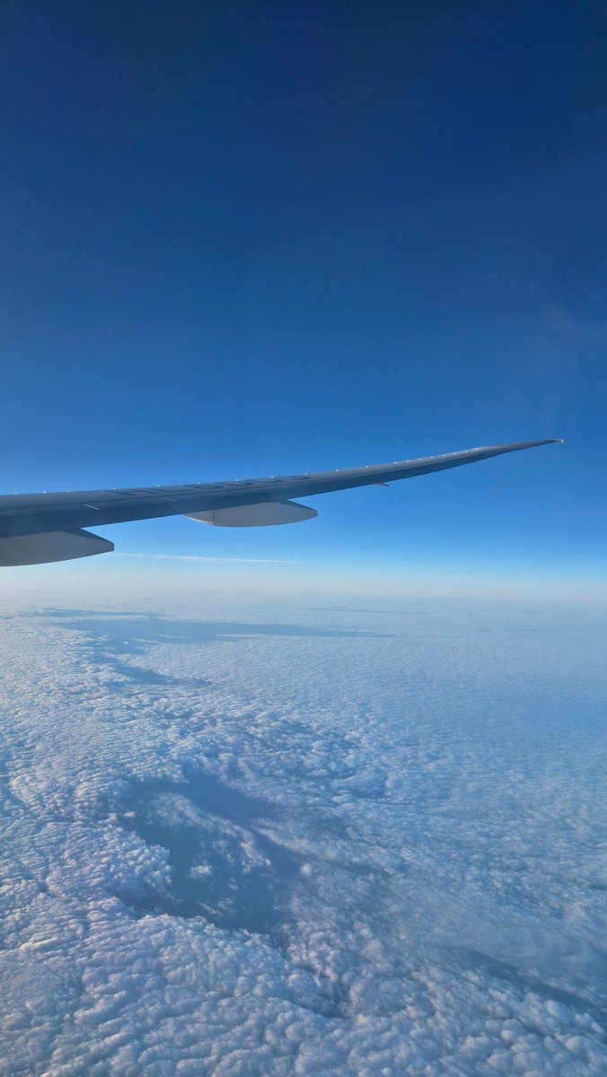 cathyahn4u's tweet image. The chances of meeting the sweetest person, who just so happens to be a host for #SFTechWeek, on a flight to #SFTechWeek are... mind-blowingly low, yet it happened.
