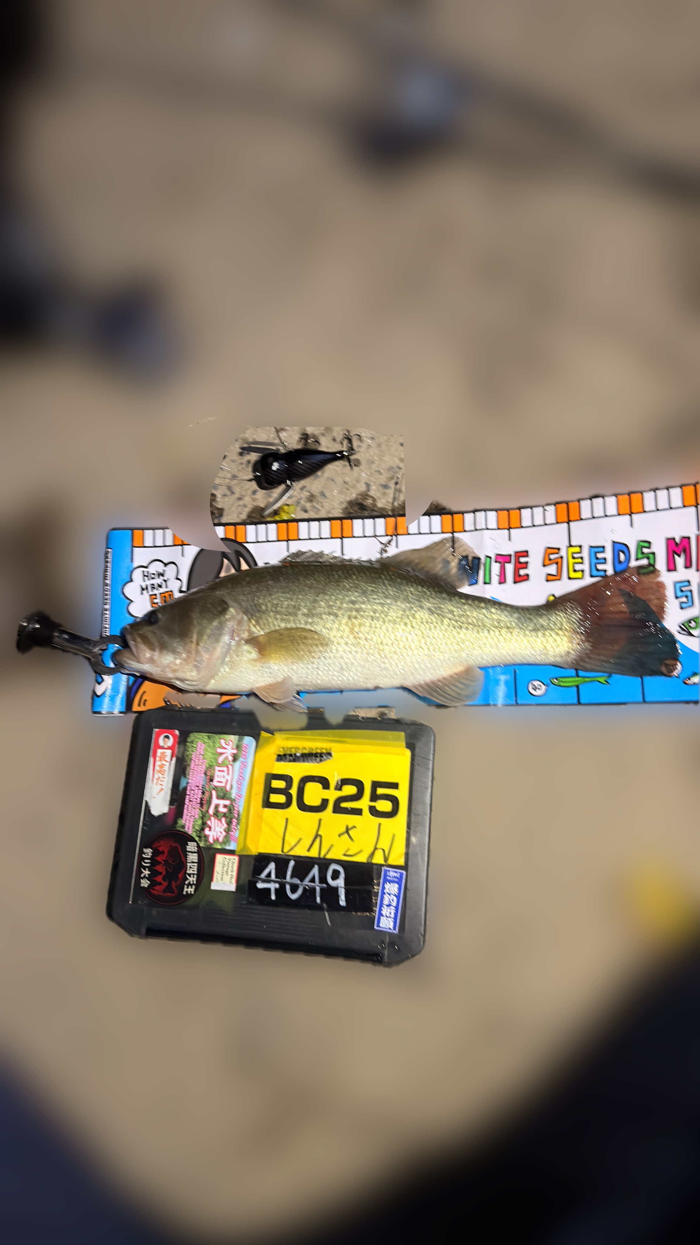 ウェッシャーツ‼︎‼︎‼︎! KAWASAKI Genuine OEM Part 13101-Y002 Gear-Assembly, Ring