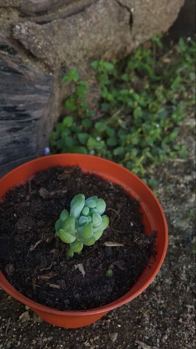 Hari pertama mengemban tanggung jawab.