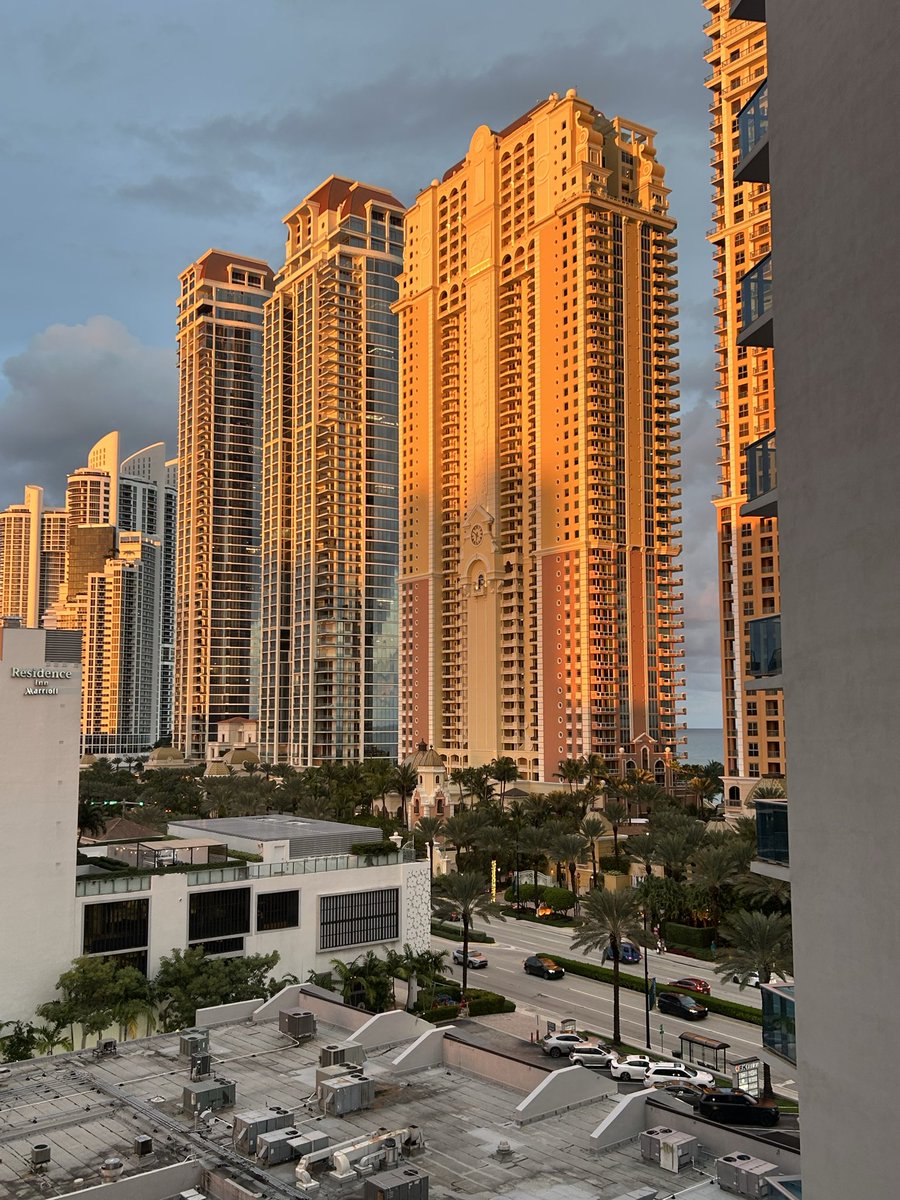 josie_simora's tweet image. k bye miami luv u