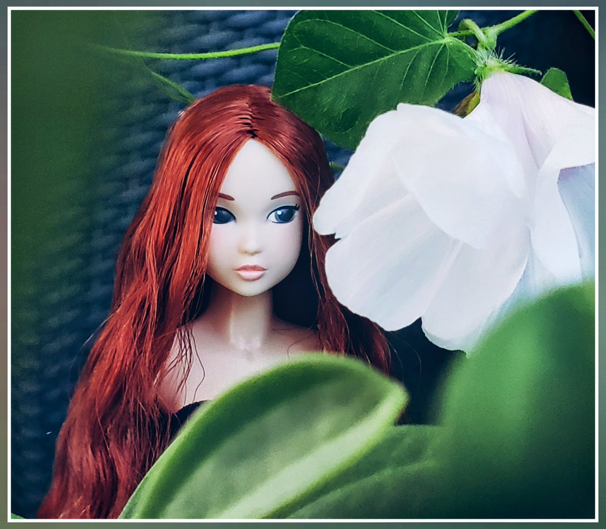 花のかんばせ
#momokodoll