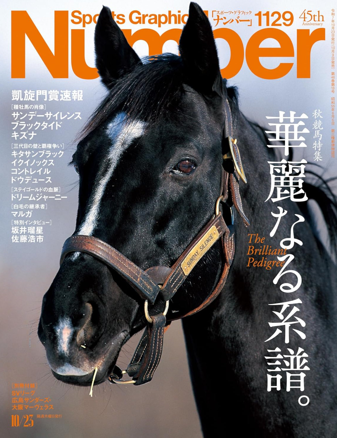 １９８５）サンデーサイレンス (Sunday Silence)写真額　競馬関係 1985）サンデーサイレンス (Sunday Silence)写真額 競馬関係