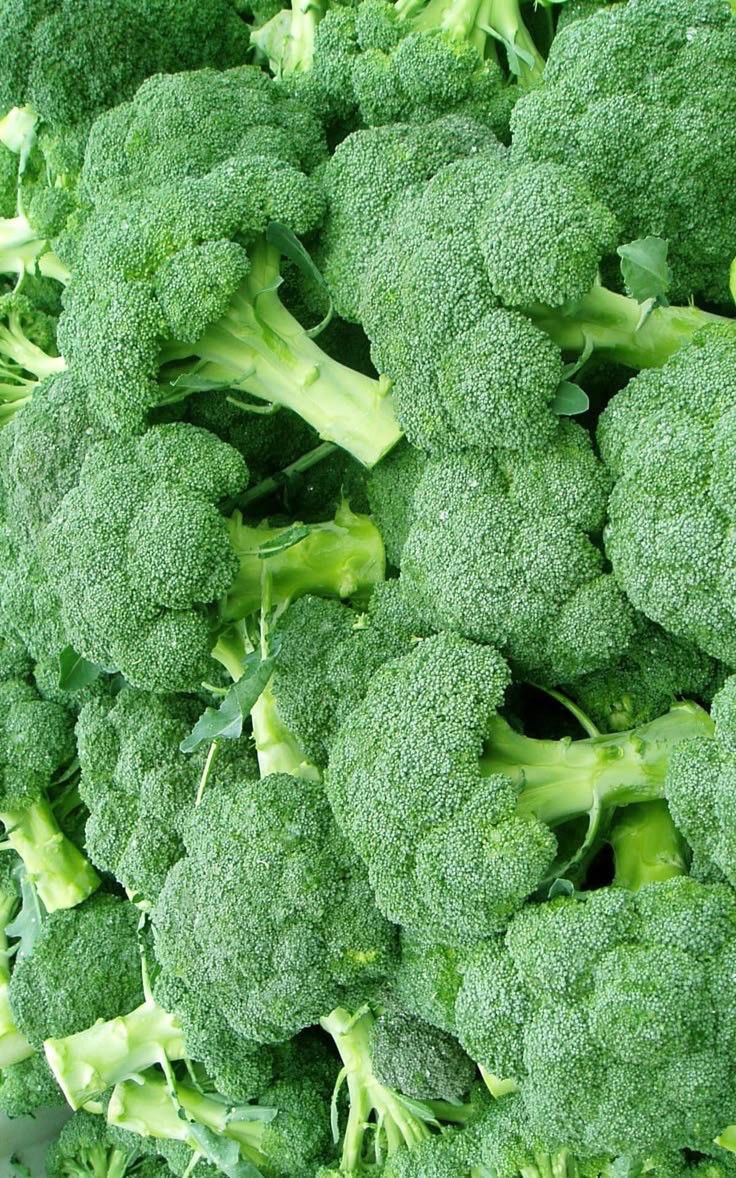 elonmuskTN's tweet image. Be honest here…. does anyone actually enjoy eating Broccoli?