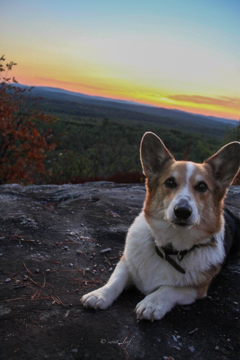 A sunset view fit for a king 👑