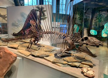 🦖 Stepping back in time to walk among giants 🦕✨