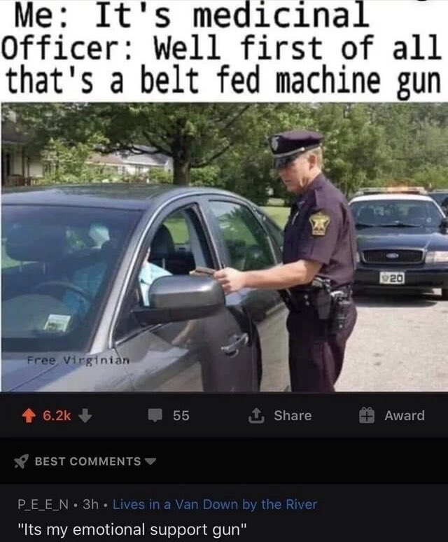 I want an emotional support gun.