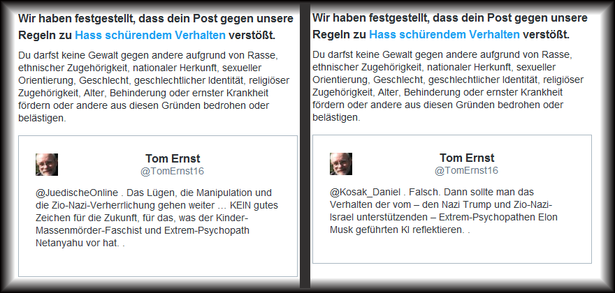 Sagt mal, <a href="/TwitterDE/">Twitter Deutschland</a>, läuft Eure KI jetzt Amok?