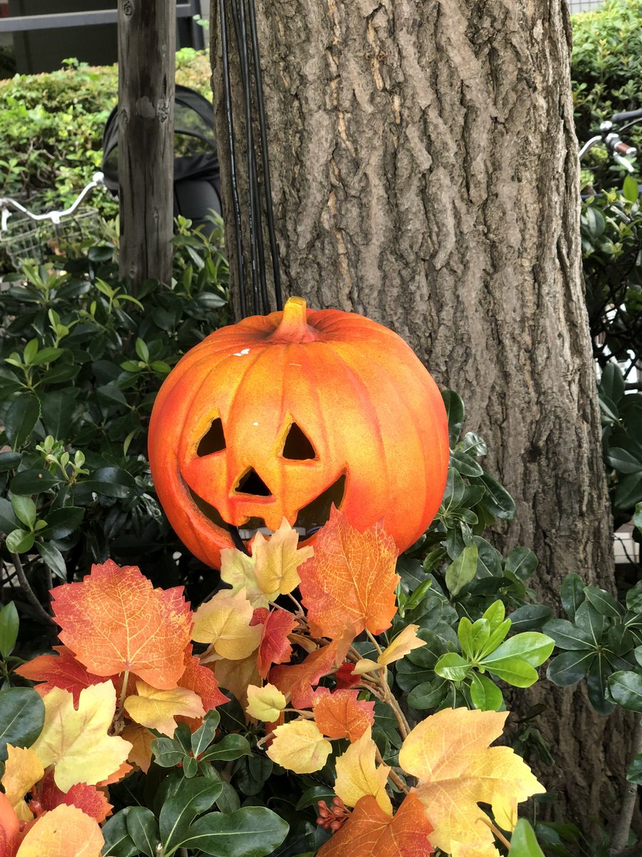 itupodo0820's tweet image. 街を歩けば