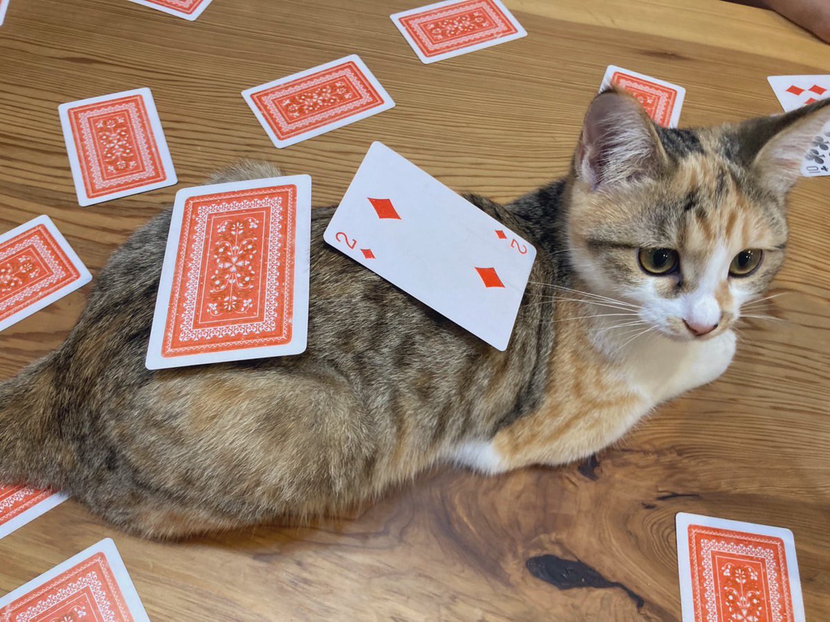 えびてん (@5X20h0G6SnVkpgS) / X