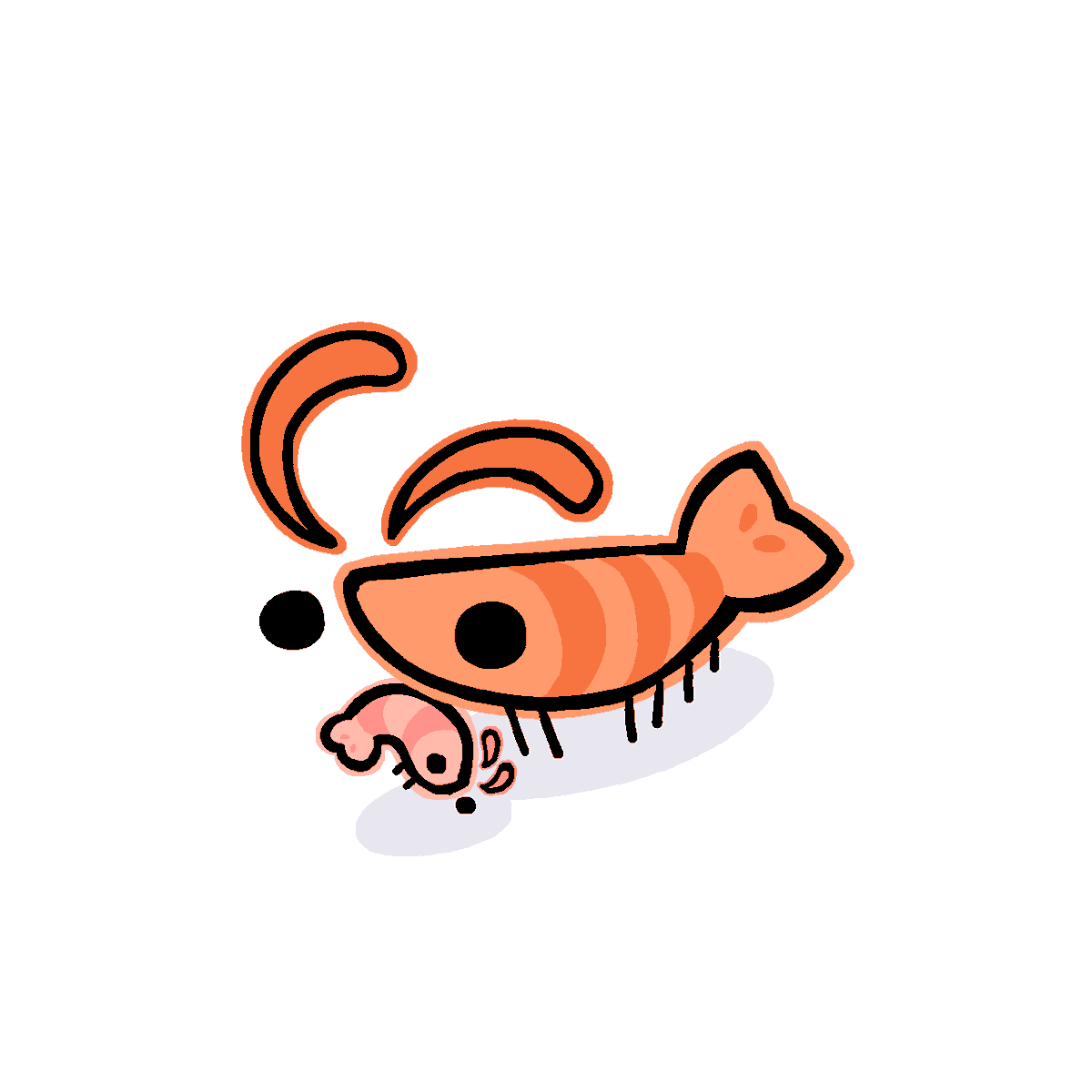 shrimpi 🍤 tweet media