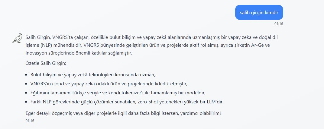 wojakdeveloper's tweet image. bu model olmuş